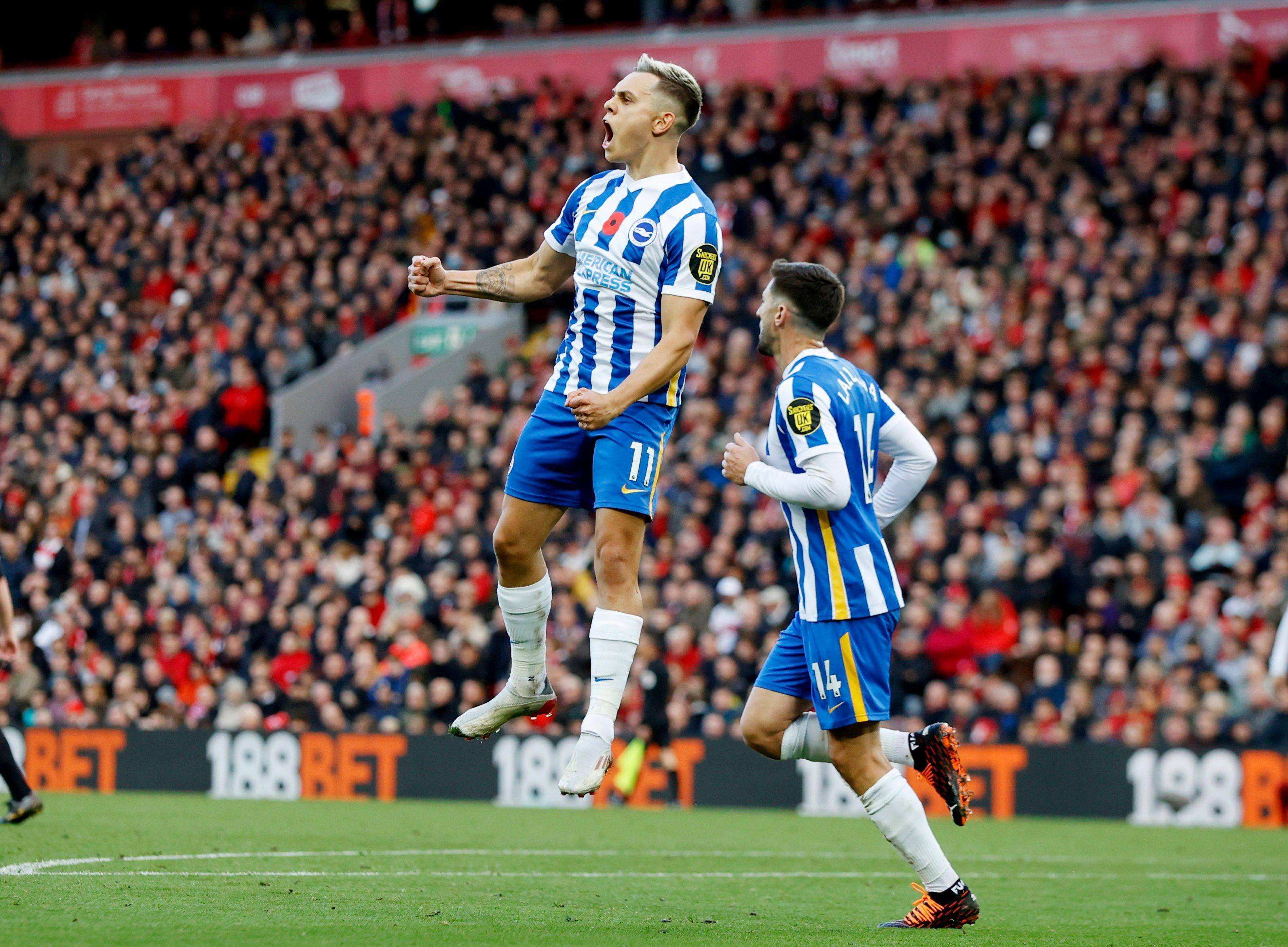 以其稳定的 以其稳定的